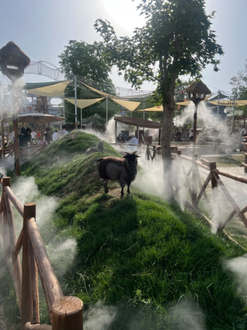 微信图片_20260710230547_272_54-compressed.png